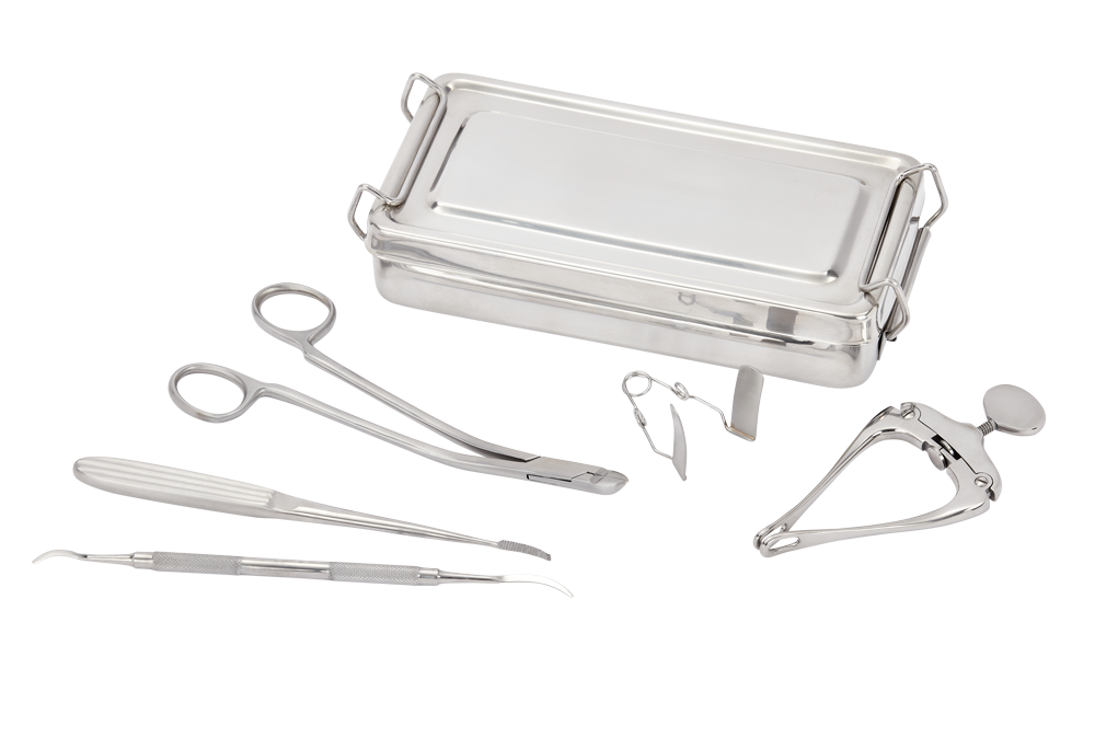 DENTAL_BASIC_KIT https://surgiqueen.com/wp-content/uploads/2024/05/DENTAL_BASIC_KIT.png